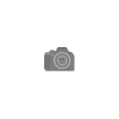 CETROC GMD 30 13 R 22.5 156/153L