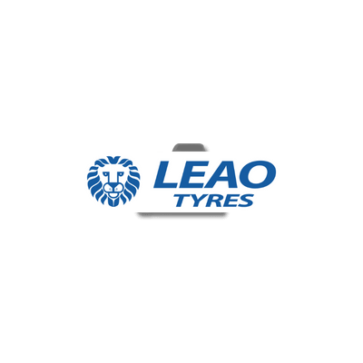 LEAO D960 13 R 22.5 156/150K