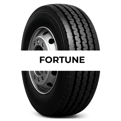 FORTUNE FTH135 445/45 R 19.5 TL 160J